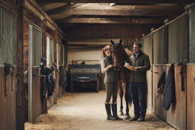 cheval et assurance mortalite