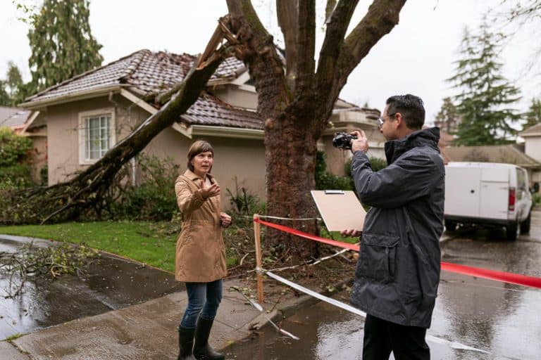 arbre tombe apres tempete assurance